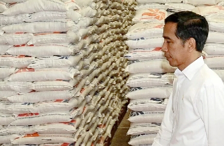 Jokowi Sebut Kenaikan Harga Beras Akibat El Nino, Pengamat: Sesat Pikir